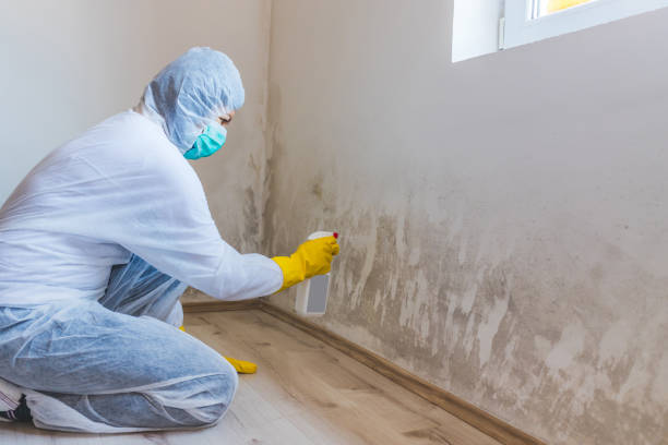 Hvac And Air Duct Mold Remediation inspection of HVAC system in Millmont
