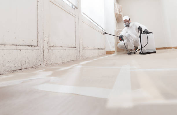 Black mold remediation team in Millmont
